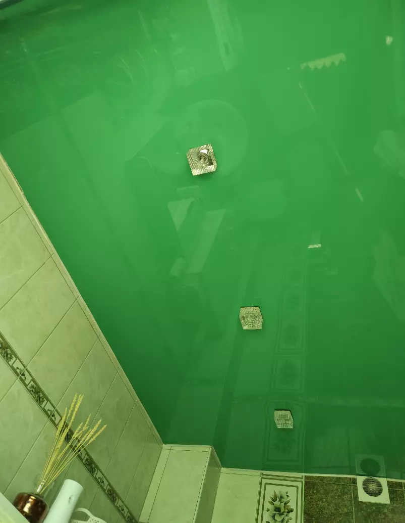 Тверь, посёлок Химинститута, 15а, фото 1