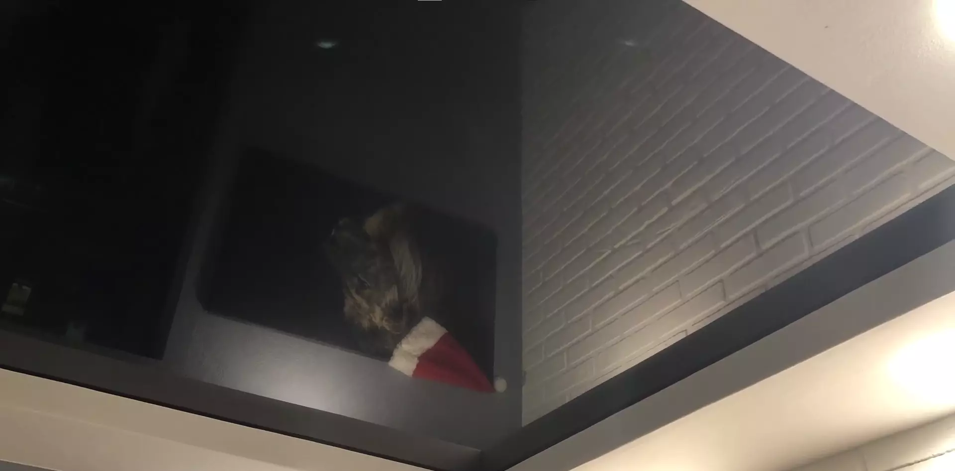 Тверь, Волоколамский проспект, 4, фото 3