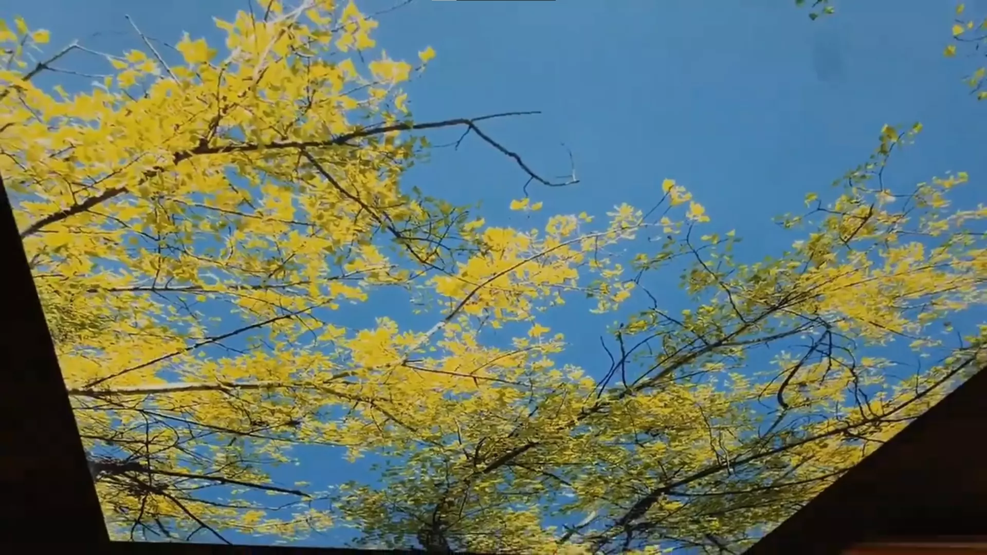 Ханты-Мансийск, , фото 2